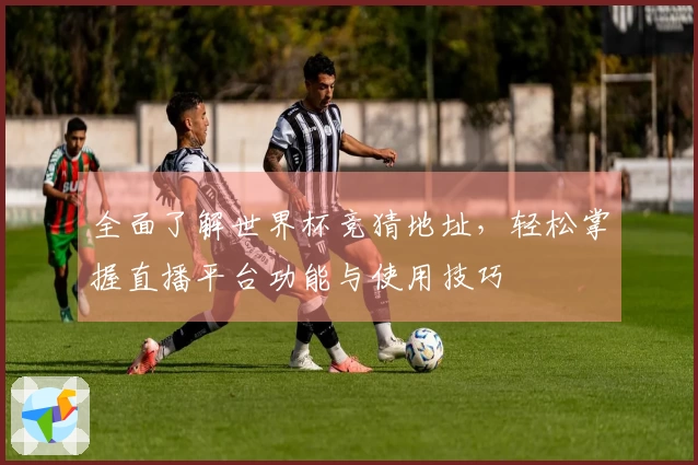 全面了解世界杯竞猜地址，轻松掌握直播平台功能与使用技巧