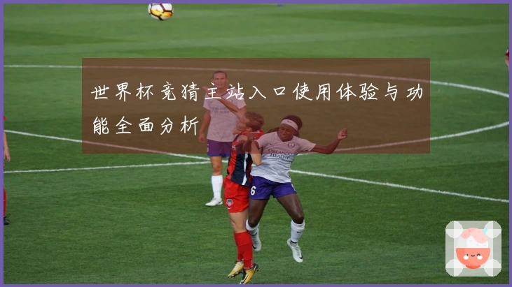 世界杯竞猜主站入口使用体验与功能全面分析