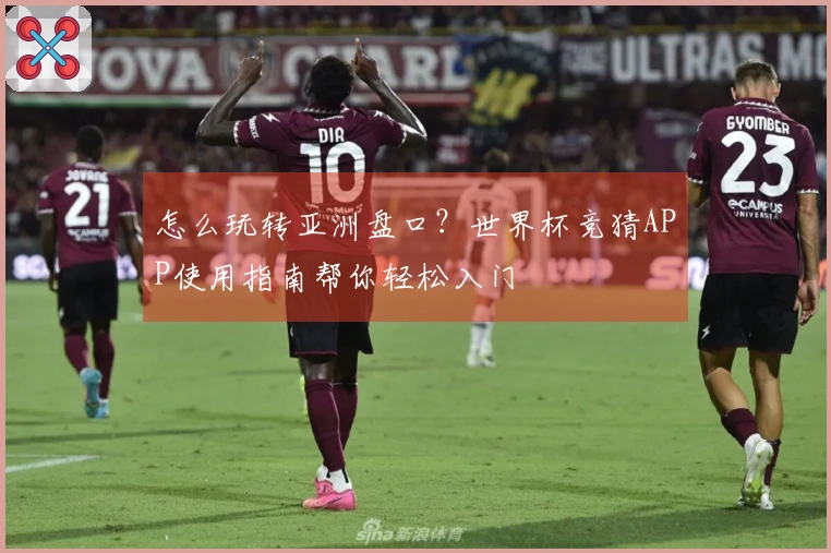 怎么玩转亚洲盘口?世界杯竞猜APP使用指南帮你轻松入门