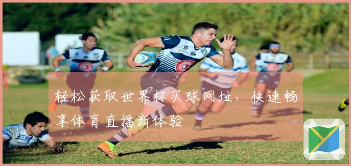 轻松获取世界杯买球网址，快速畅享体育直播新体验