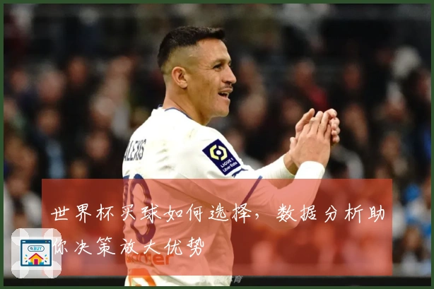 世界杯买球如何选择，数据分析助你决策放大优势