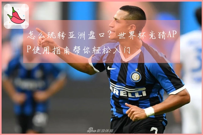 怎么玩转亚洲盘口？世界杯竞猜APP使用指南帮你轻松入门