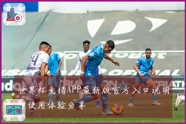 世界杯竞猜APP最新版官方入口说明与使用体验分享