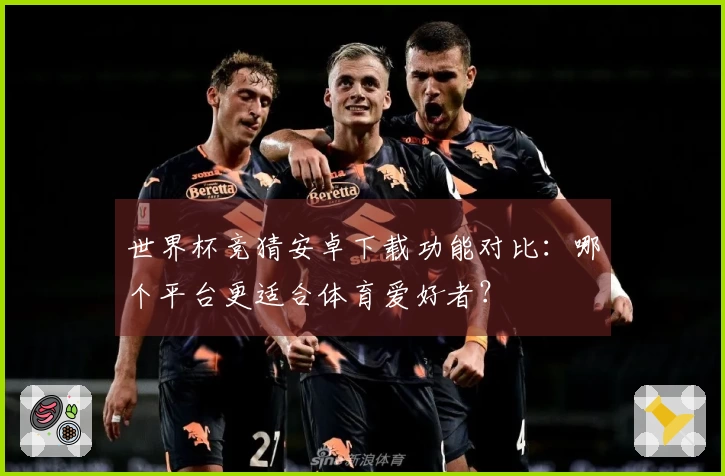 世界杯竞猜安卓下载功能对比：哪个平台更适合体育爱好者？